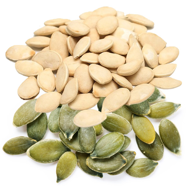 Pumpkin seed